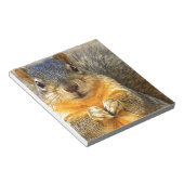 Eichhörnchen-Liebe_ Notizblock (angewinkelt)