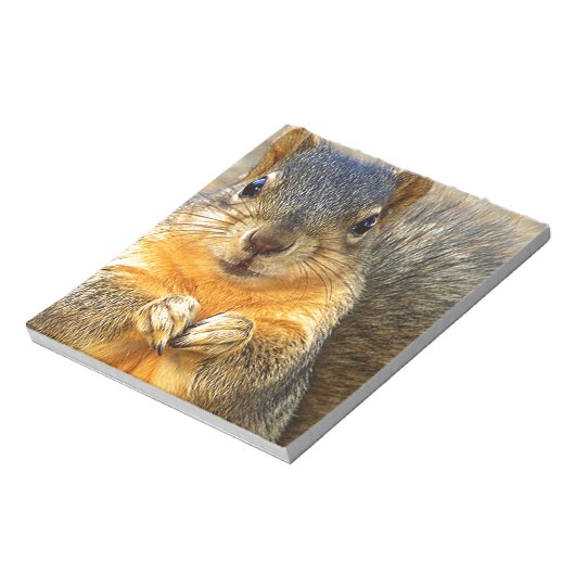 Eichhörnchen-Liebe_ Notizblock (Rotiert)