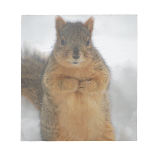 Eichhörnchen-Liebe Notizblock (Vorderseite)