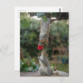 Eichhörnchen-Liebe Postkarte (Vorne/Hinten)
