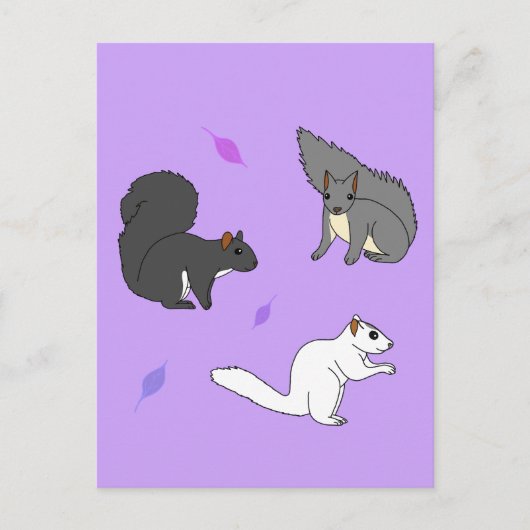 Eichhörnchen Lila Postkarte (Vorderseite)