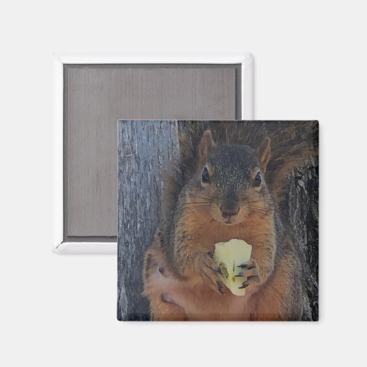Eichhörnchen Magnet (Vorderseite/Rückseite)