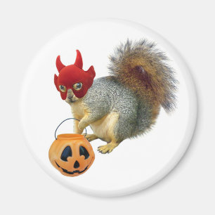 Eichhörnchen Magnet
