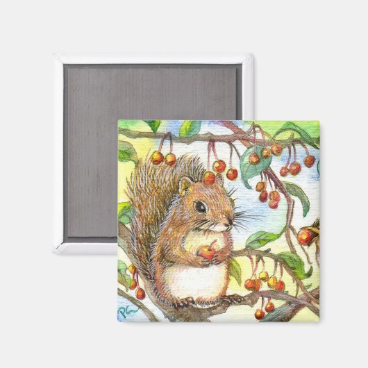 Eichhörnchen Magnet (Vorderseite/Rückseite)