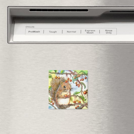 Eichhörnchen Magnet (In Situ (Geschirrspüler))
