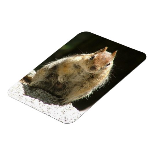 Eichhörnchen Magnet (Linke Seite)