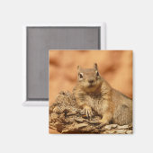 Eichhörnchen Magnet (Vorderseite/Rückseite)