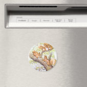 Eichhörnchen Magnet (In Situ (Geschirrspüler))