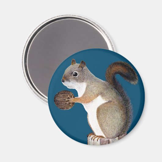 Eichhörnchen Magnet (Vorderseite/Rückseite)