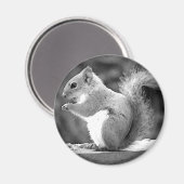 Eichhörnchen Magnet (Vorderseite/Rückseite)
