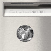 Eichhörnchen Magnet (In Situ (Geschirrspüler))