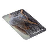 Eichhörnchen Magnet (Rechte Seite)