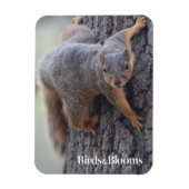 Eichhörnchen Magnet (Vertikal)
