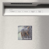 Eichhörnchen Magnet (In Situ (Geschirrspüler))