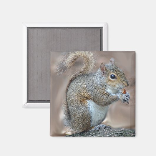 Eichhörnchen Magnet (Vorderseite/Rückseite)