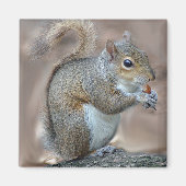 Eichhörnchen Magnet (Vorne)