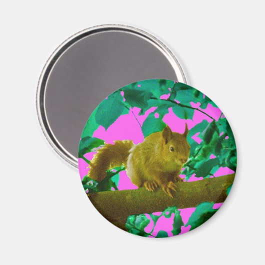 Eichhörnchen Magnet (Vorderseite/Rückseite)