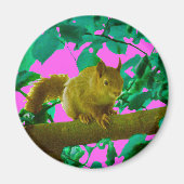 Eichhörnchen Magnet (Vorne)