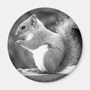 Eichhörnchen Magnet