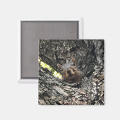 Eichhörnchen Magnet (Vorderseite/Rückseite)
