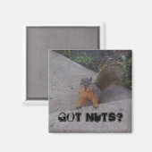 Eichhörnchen-Magnet Magnet (Vorderseite/Rückseite)