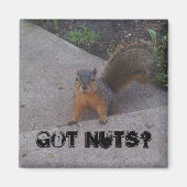 Eichhörnchen-Magnet Magnet (Vorne)