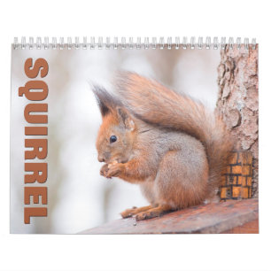 Eichhörnchen-Mauerkalender 2022 Kalender