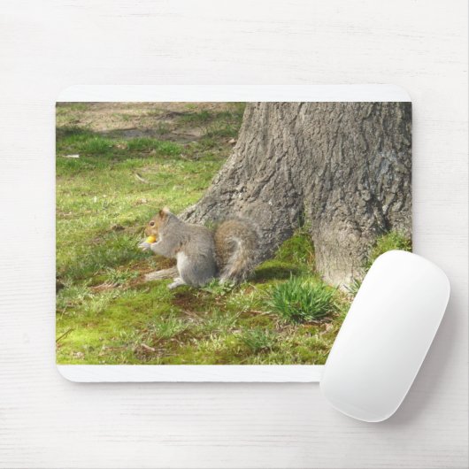 Eichhörnchen Mausunterlage Mousepad (Mit Mouse)