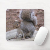 Eichhörnchen-Mausunterlage Mousepad (Mit Mouse)