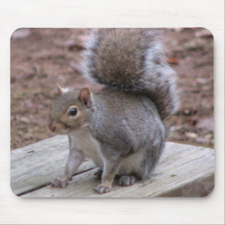 Eichhörnchen-Mausunterlage Mousepad