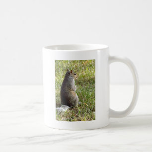 Eichhörnchen-Meditationen Kaffeetasse