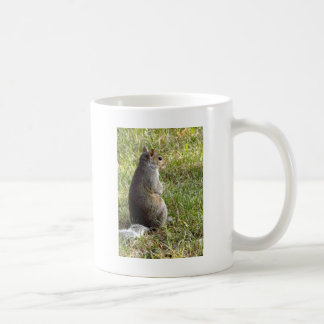Eichhörnchen-Meditationen Kaffeetasse