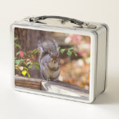 Eichhörnchen Metall Brotdose (Rückseite)