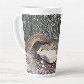 Eichhörnchen Milchtasse (Linke Ecke)