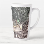 Eichhörnchen Milchtasse (Rechts)