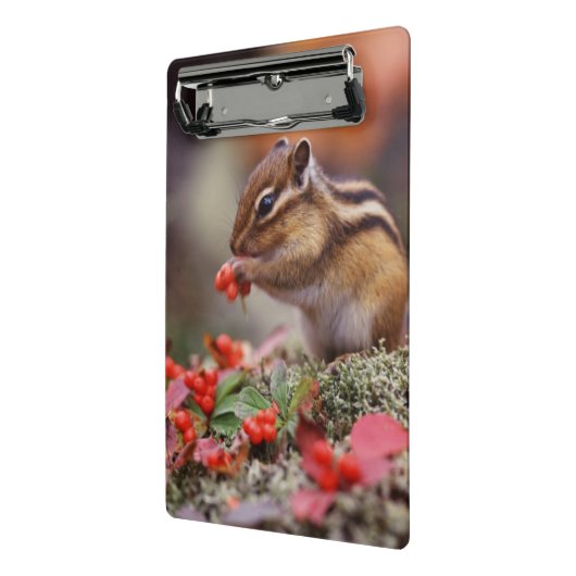 Eichhörnchen Mini Klemmbrett (Gewinkelt2)