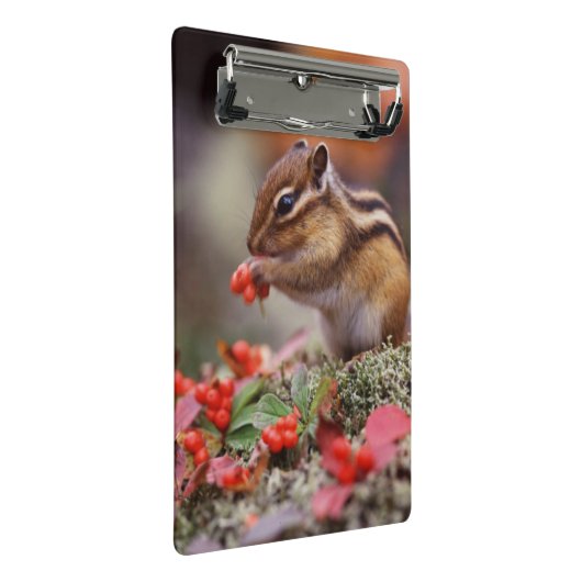 Eichhörnchen Mini Klemmbrett (Schrägansicht)