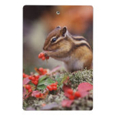 Eichhörnchen Mini Klemmbrett (Rückseite)