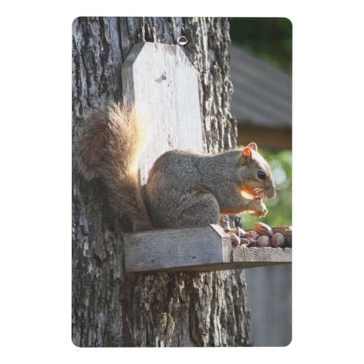 Eichhörnchen Mini Klemmbrett (Rückseite)