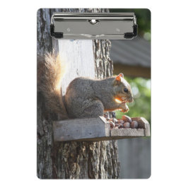 Eichhörnchen Mini Klemmbrett
