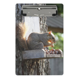 Eichhörnchen Mini Klemmbrett