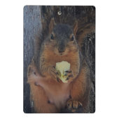 Eichhörnchen Mini Klemmbrett (Rückseite)