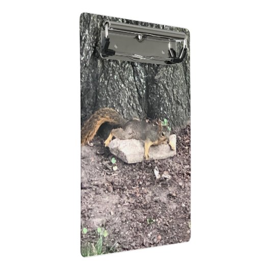 Eichhörnchen Mini Klemmbrett (Schrägansicht)