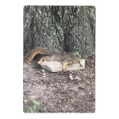 Eichhörnchen Mini Klemmbrett (Rückseite)
