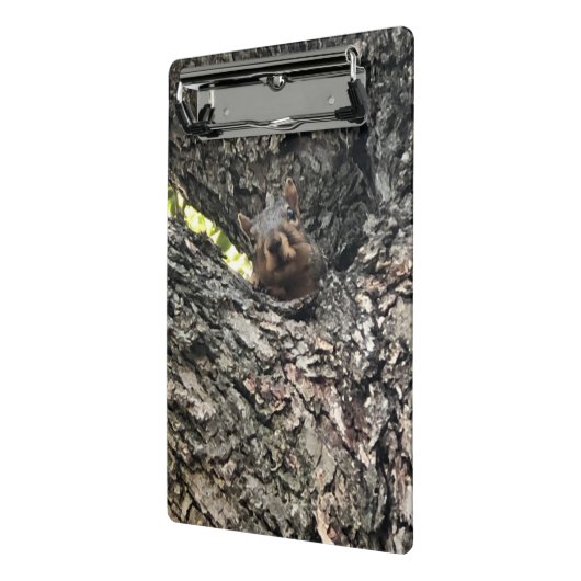 Eichhörnchen Mini Klemmbrett (Gewinkelt2)