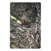 Eichhörnchen Mini Klemmbrett (Rückseite)