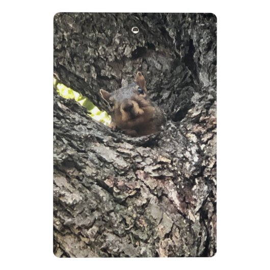 Eichhörnchen Mini Klemmbrett (Rückseite)