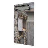 Eichhörnchen Mini Klemmbrett (Gewinkelt2)