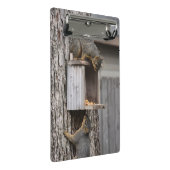 Eichhörnchen Mini Klemmbrett (Schrägansicht)