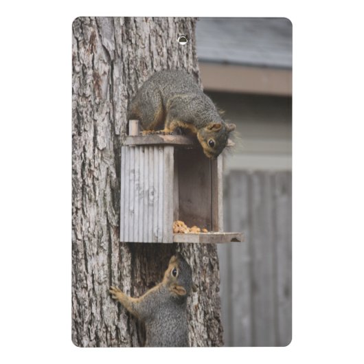 Eichhörnchen Mini Klemmbrett (Rückseite)